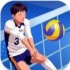 排球竞技场全明星中文官网免费版 v1.0