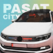 帕萨特汽车之城安卓版 v1.3