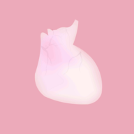 生命life安卓中文版 v1.0