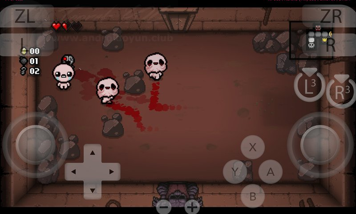 以撒的结合胎衣截图