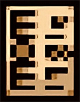 以撒的结合胎衣