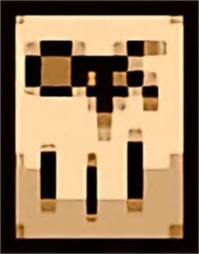 以撒的结合胎衣