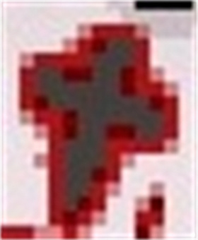 以撒的结合胎衣