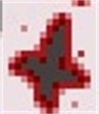 以撒的结合胎衣