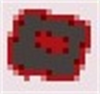 以撒的结合胎衣