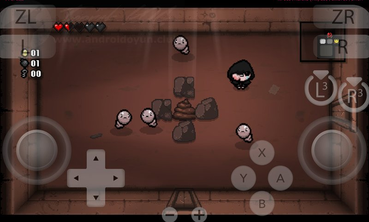 以撒的结合胎衣截图