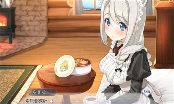 我与索菲亚的秘密图4