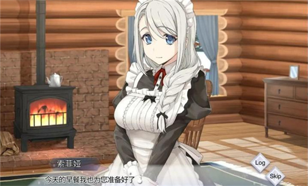 我与索菲亚的秘密图5