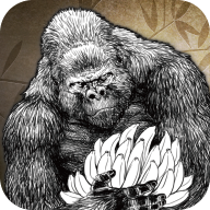 大猩猩接龙游戏手机版 v1.012