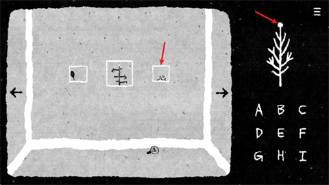 她的树解谜之梦