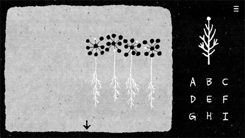 她的树解谜之梦