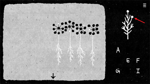 她的树解谜之梦