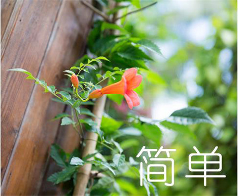 恋爱模拟器约会篇