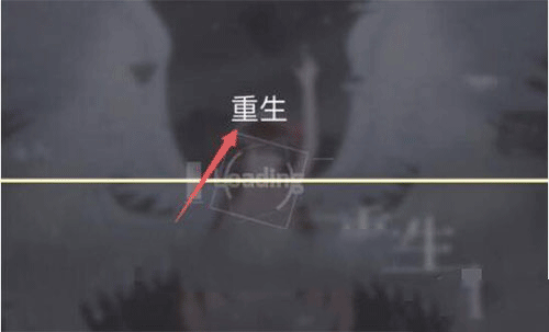菲格罗斯手游官方版 v3.19.4