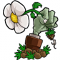植物大战僵尸重置版  V1.3.6.1