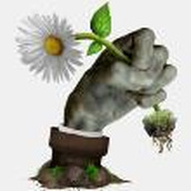 植物大战僵尸现实版画风手机版 v1.1.1