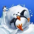 南极救援生死连线安卓版v1.0.5