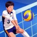 单挑排球中文手机版 v1.0.2