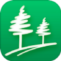 林风流量管家软件最新版 v2.7.1